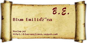 Blum Emiliána névjegykártya